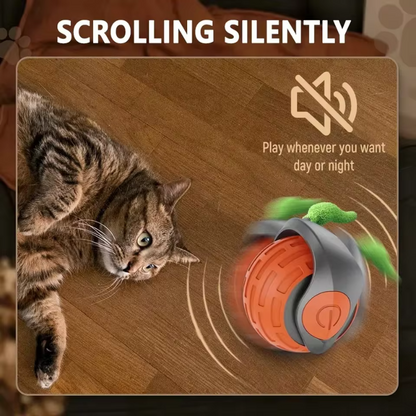 FurPlay™ | Bring Endless Joy to Your Cat — Even When You’re Not Home!