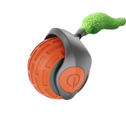 FurPlay™ | Bring Endless Joy to Your Cat — Even When You’re Not Home!